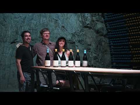 Tour Viñedos de Alcohuaz - Turismo Valle de Elqui | Chile