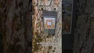 Kava Kava - Vanuatu Taboo instantní