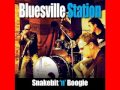 Bluesville Station - Snakebit 'N' Boogie - 2010 - One More Night With You - Lesini Blues