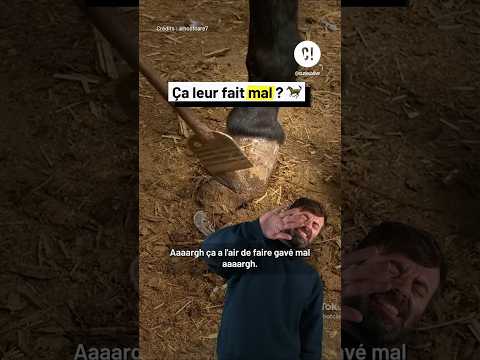 TAILLER les SABOTS ?