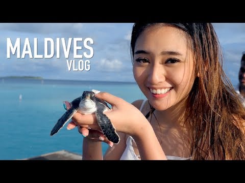 download lagu mp3 mp4 Dja Maldives, download lagu Dja Maldives gratis, unduh video klip Dja Maldives