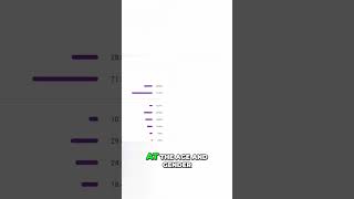Unlock Viral Views: Master YouTube Publishing Times With vidIQ! #shorts