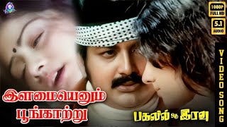 Download lagu Ilamai Enum Poongaatru | HD Video Song 5.1 | Sridevi | SPB | Kannadasan | Ilaiyaraaja mp3