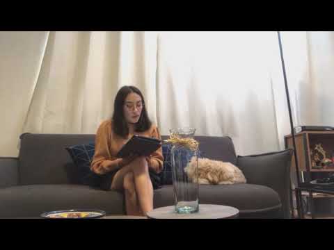 Video donadores horas