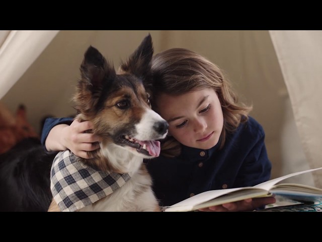 Video teaser for Electrolux Pure D8 2 PD82 ALRG DE