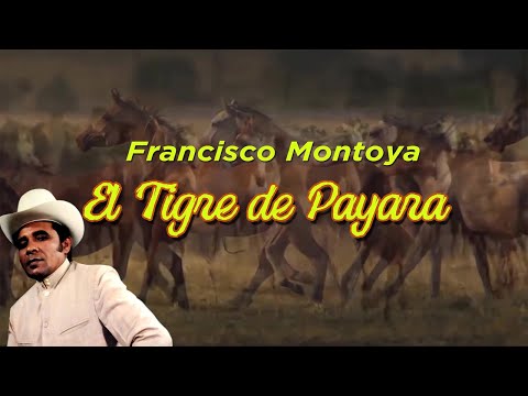 El Tigre de Payara  - Francisco Montoya | Letra Oficial
