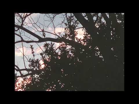 Elroy - TALKIN IN MY SLEEP - YouTube