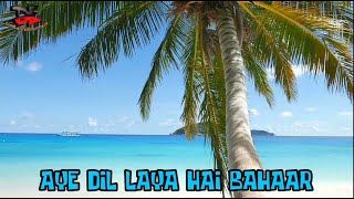 Download lagu AYE DIL LAYA HAI BAHAAR_KARAOKE_NO VOCAL PRIA_@dimaentertainment2647 mp3