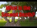 What Is The Second Death Revelation Lake Of Fire