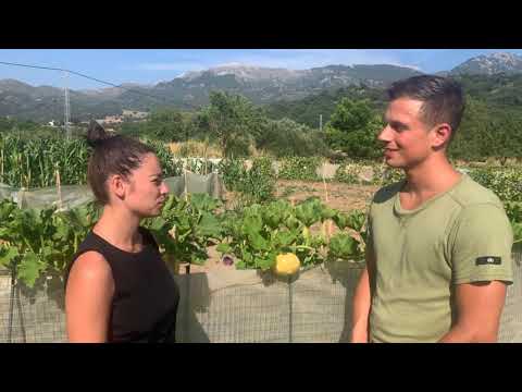 Studying with Taoist Master Choy - HAPPILIZATION centre June 2019 (part 2)