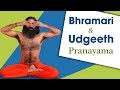 Bhramari Udgeeth Pranayama Swami Ramdev