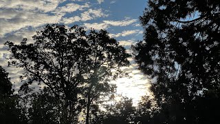 Shifting Timelines