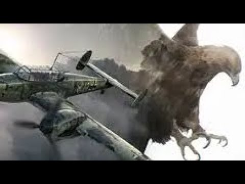 “Adlertag” The Day of the Eagle: Battle of Britain