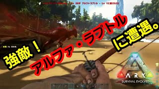 Ark Survival Evolved 3人称視点 تنزيل الموسيقى Mp3 مجانا