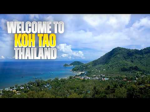 PADI IDC - Asia Pacific's Best Diving Instructor Development Course on Koh Tao in Thailand