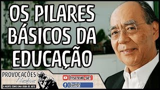 The basic pillars of education | Içami Tiba