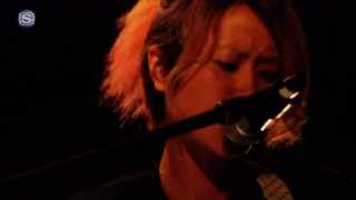Limited Express(has gone?) - PU/AR @ ボロフェスタ2013