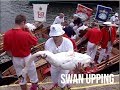 Swan Upping