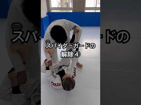 ［柔術テクニック］スパイダーガードの解除④ #ブラジリアン柔術 #jiujitsu #柔術