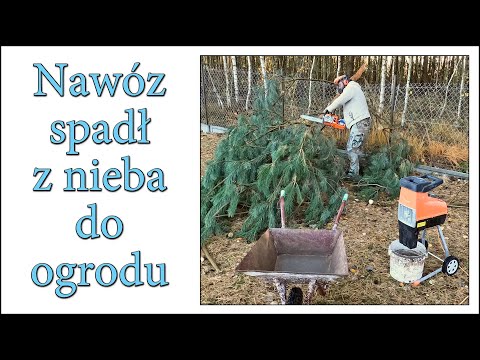 Nawóz spadł z nieba do ogrodu. Sprzątanie po wichurze  Zrębka, rozdrabniacz - Ogarnąć ogród 13