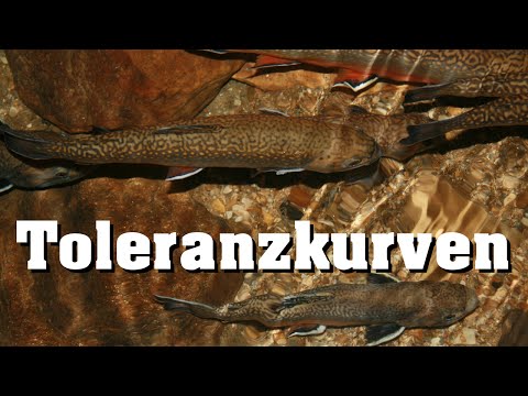 Toleranzkurven, eurypotent/stenopotent