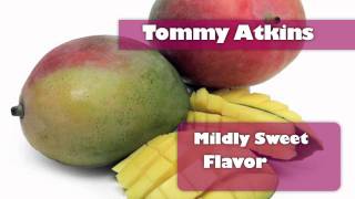 Ataulfo Mangos (English)