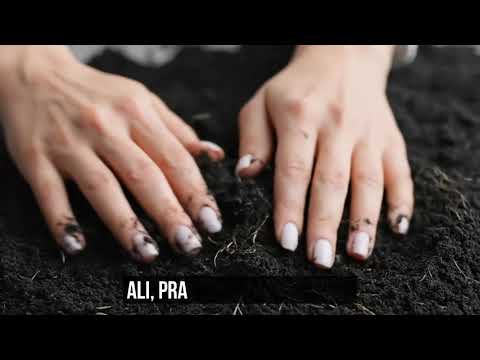 Kako inspirisati vrhunski učinak tima