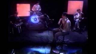 The Orchids, Something for the longing,Toad Hall Studios