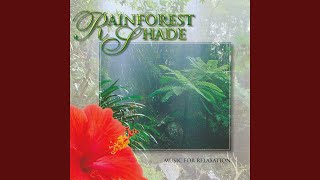 Rainforest Shade (Part 2)