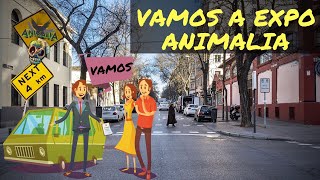 EXPO ANIMALIA MÉXICO. Rifas en animalia otoño 2016. Mordida de serpiente.