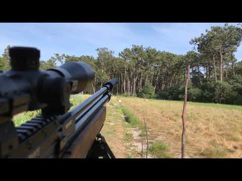 Weihrauch Silencer + Gamo Coyote .22 suppressing test