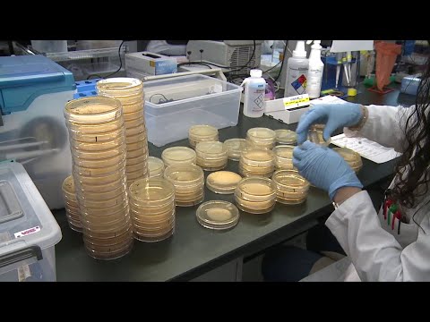 New York COVID–19 Latest