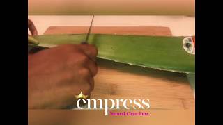 ALOE for Natural Haircare & Skincare