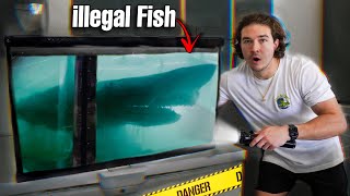 Catching ILLEGAL FISH For My Saltwater Pond...