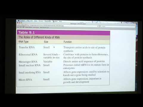 #15 BB 350 Nucleic Acids II - Kevin Ahern's Biochemistry Online
