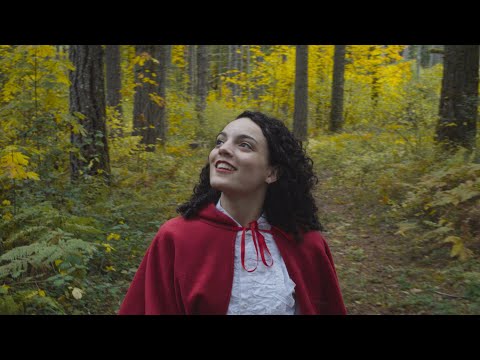 Red, The Wolf, And The Woodsman (2019)