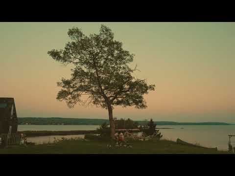 coulou's cafe trumpet meditations (no. 51)