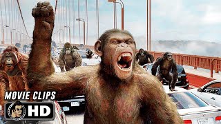 RISE OF THE PLANET OF THE APES CLIP COMPILATION (2