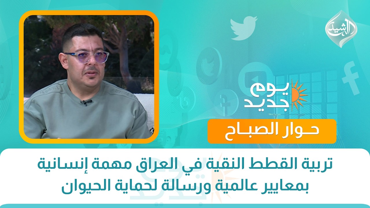 فيديو | حوار الصباح || تربية القطط النقية في العراق مهمة إنسانية بمعايير عالمية ورسالة لحماية الحيوان