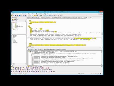 Multi-Edit 2008 in action