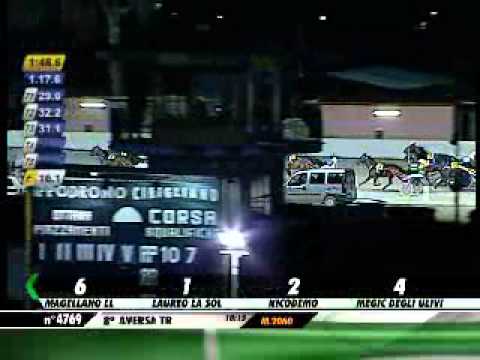 19/12/2012, Aversa Trotto, Premio Belviso