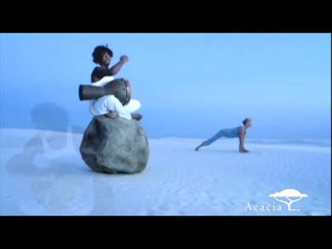 Kalari Vinyasa - From Shiva Rea: Power Flow Yoga
