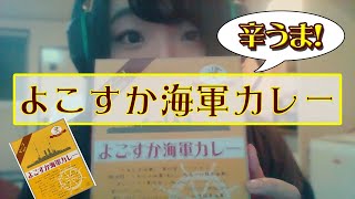 食べもち外伝～食レポになってない食レポその7　よこすか海軍カレー～