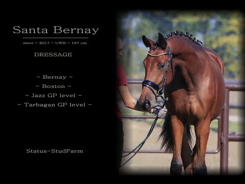 mare by Bernay - Boston - Jazz - Tarbagan