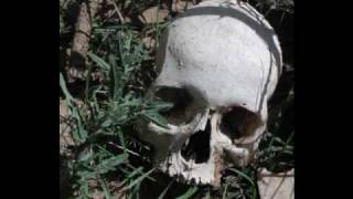 Juliane Werding Armageddon