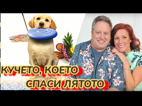 Кучето, което спаси лятото 2015 Bg audio (семеен, комедия)