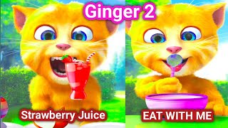 Talking Ginger 2 FUNNY Gameplay 🤣🤣 | ginger cat | 