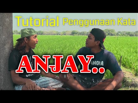 anjay-tutorial-penggunaan-kata-anjay-yang-dianggap-kpai-dapat-merusak-moral-anjay-viral