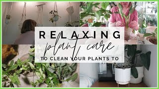 Plant Care Vlog to Clean Your Plants To + Smart Humidifier R