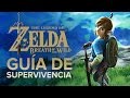 Gu a De Supervivencia: Breath Of The Wild sin Spoilers 